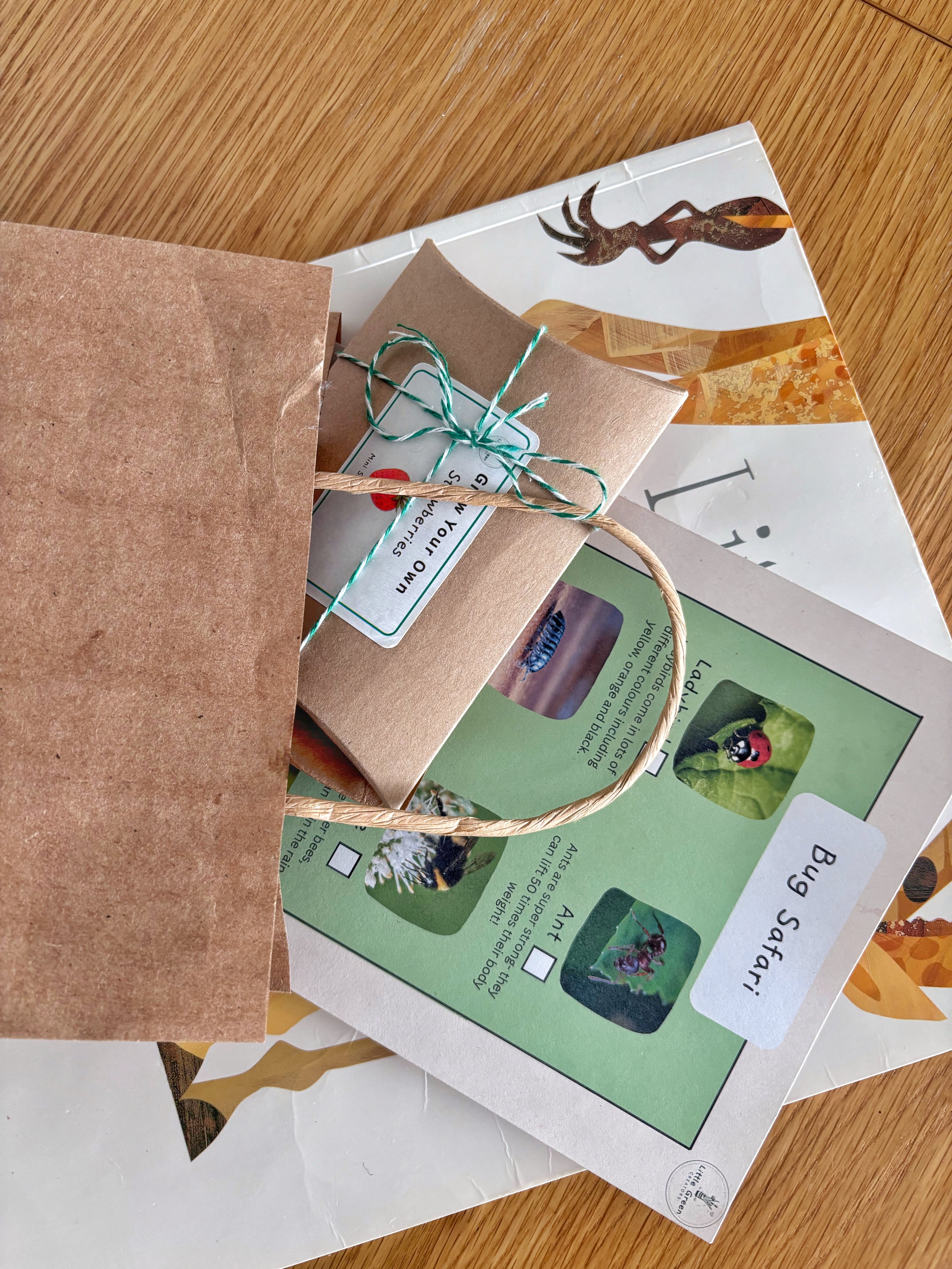 Kraft party bag spilled on a wooden table with mini grow your own strawberries packet, bug safari scavenger hunt sheet and a white book with giraffe legs on