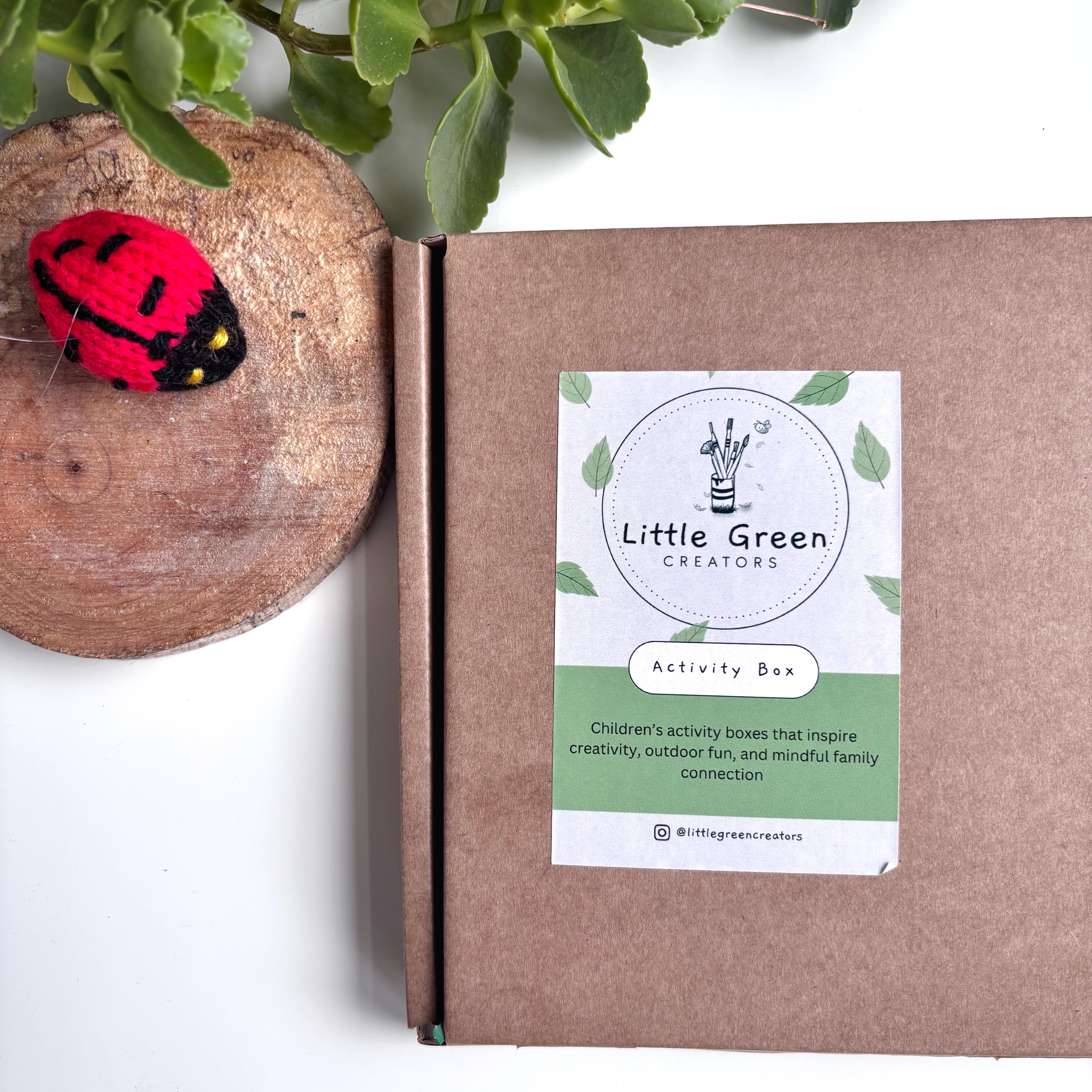 Outdoor Adventure Activity Kit