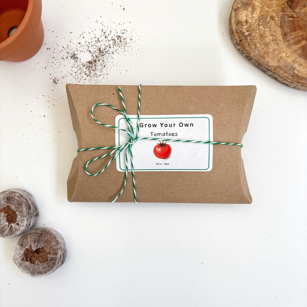 Mini Grow Your Own Tomato Kit