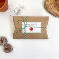 Mini Grow Your Own Tomato Kit