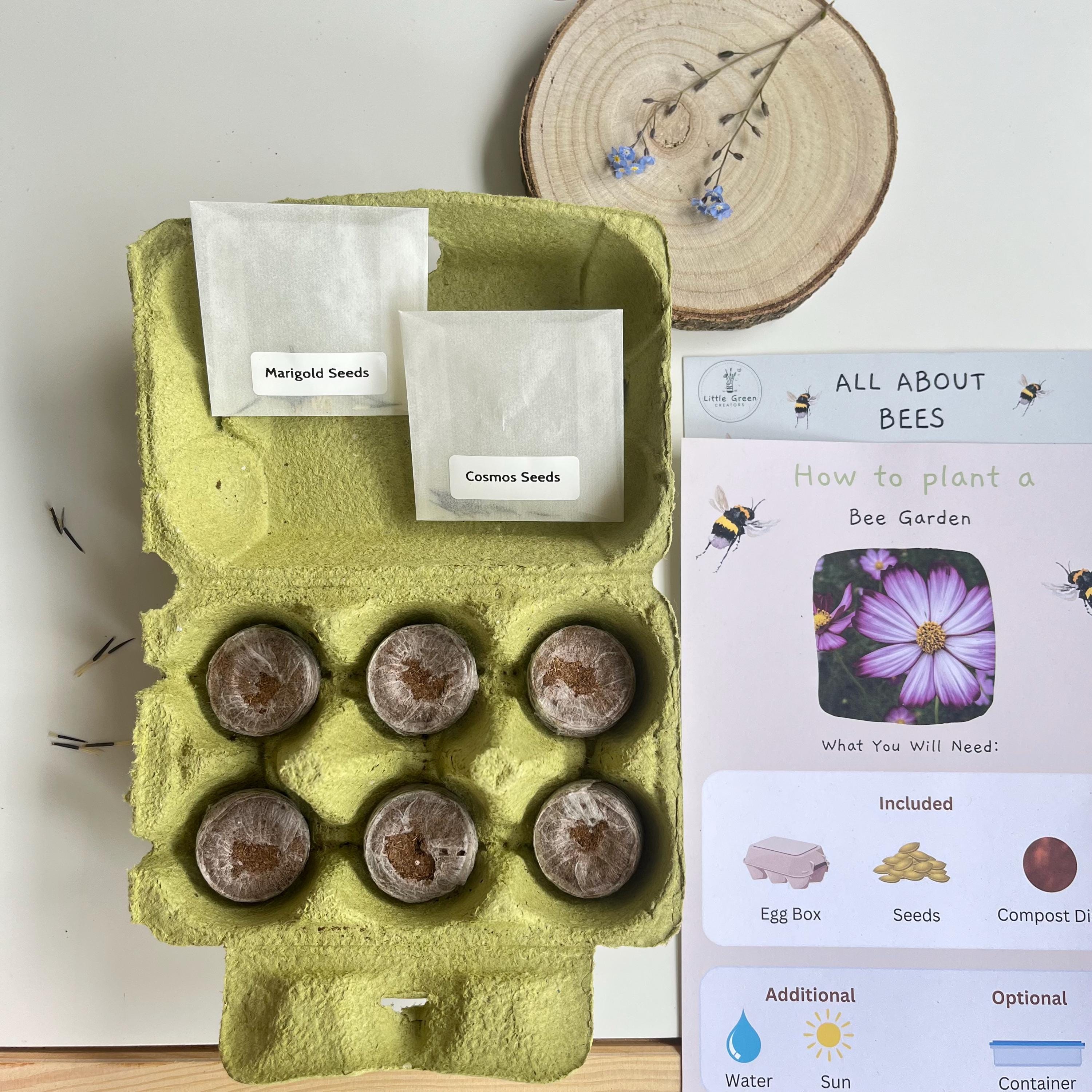 Plant a Bee Garden Kit