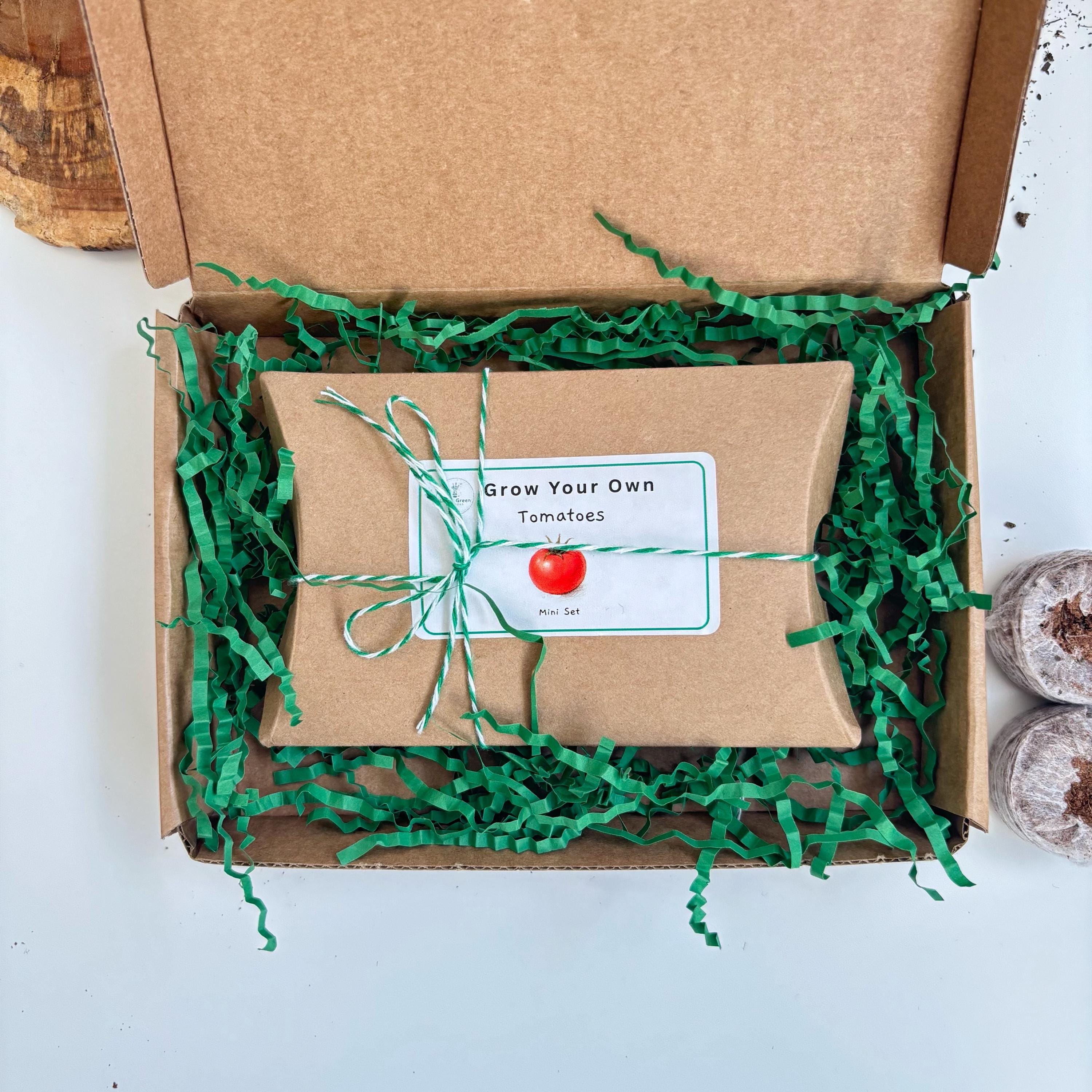 Mini Grow Your Own Tomato Kit