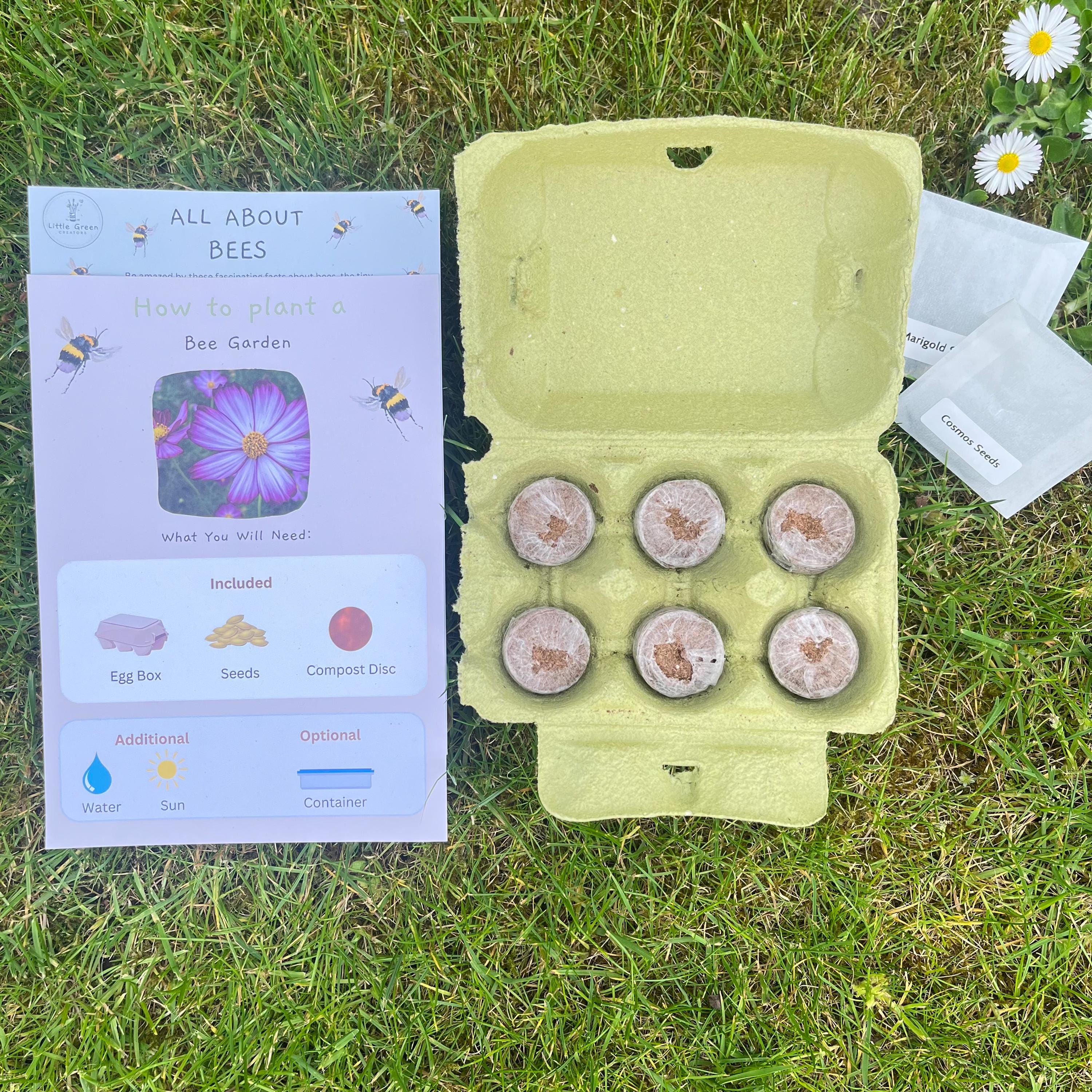 Plant a Bee Garden Kit