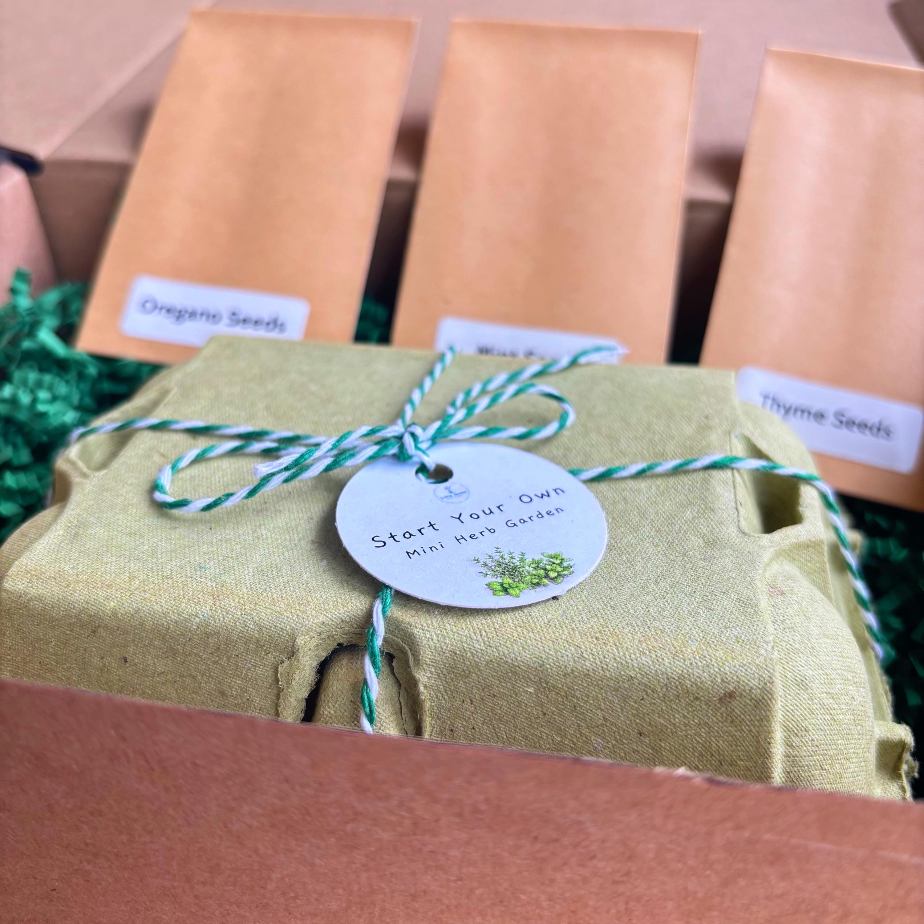 Start a Mini Herb Garden Kit
