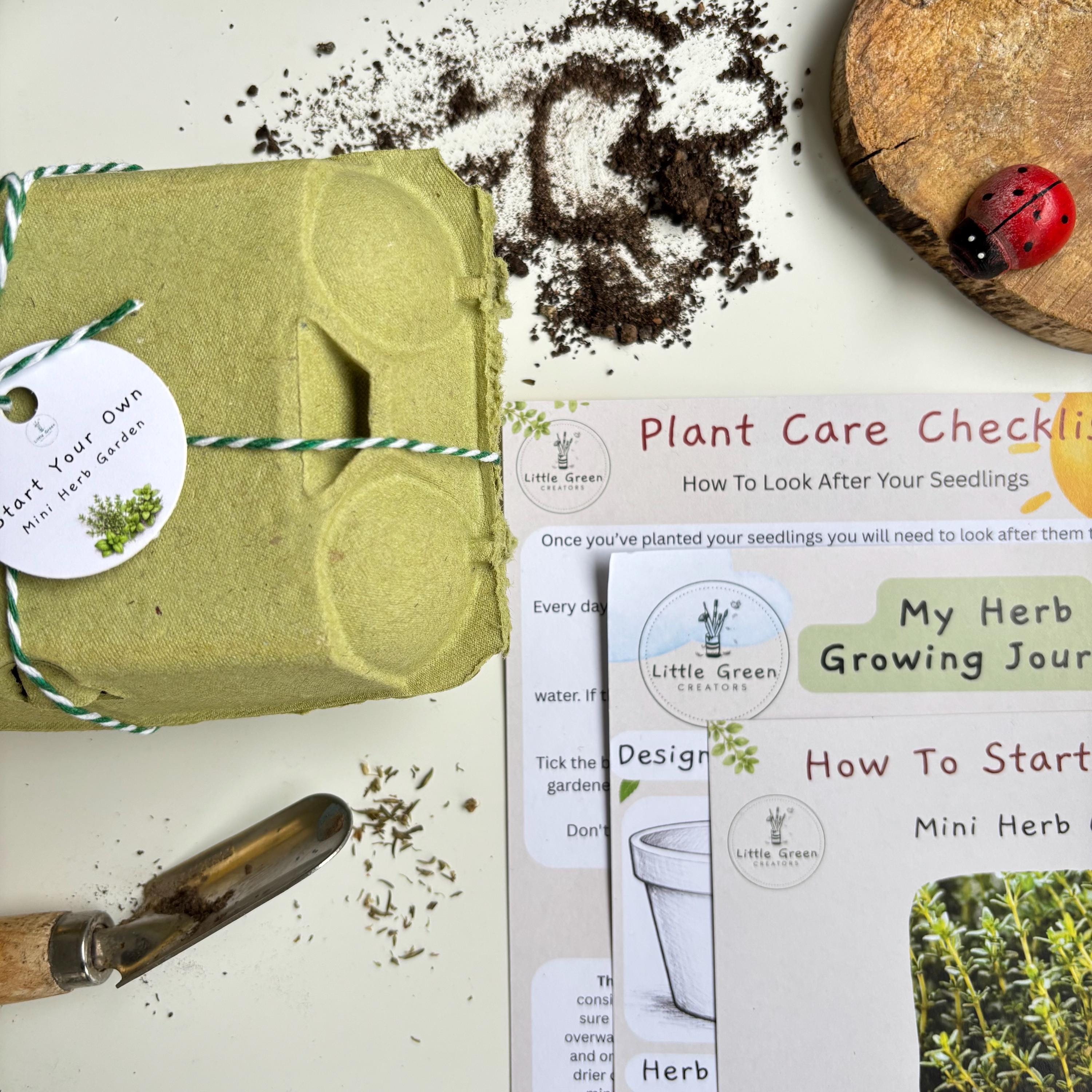 Start a Mini Herb Garden Kit