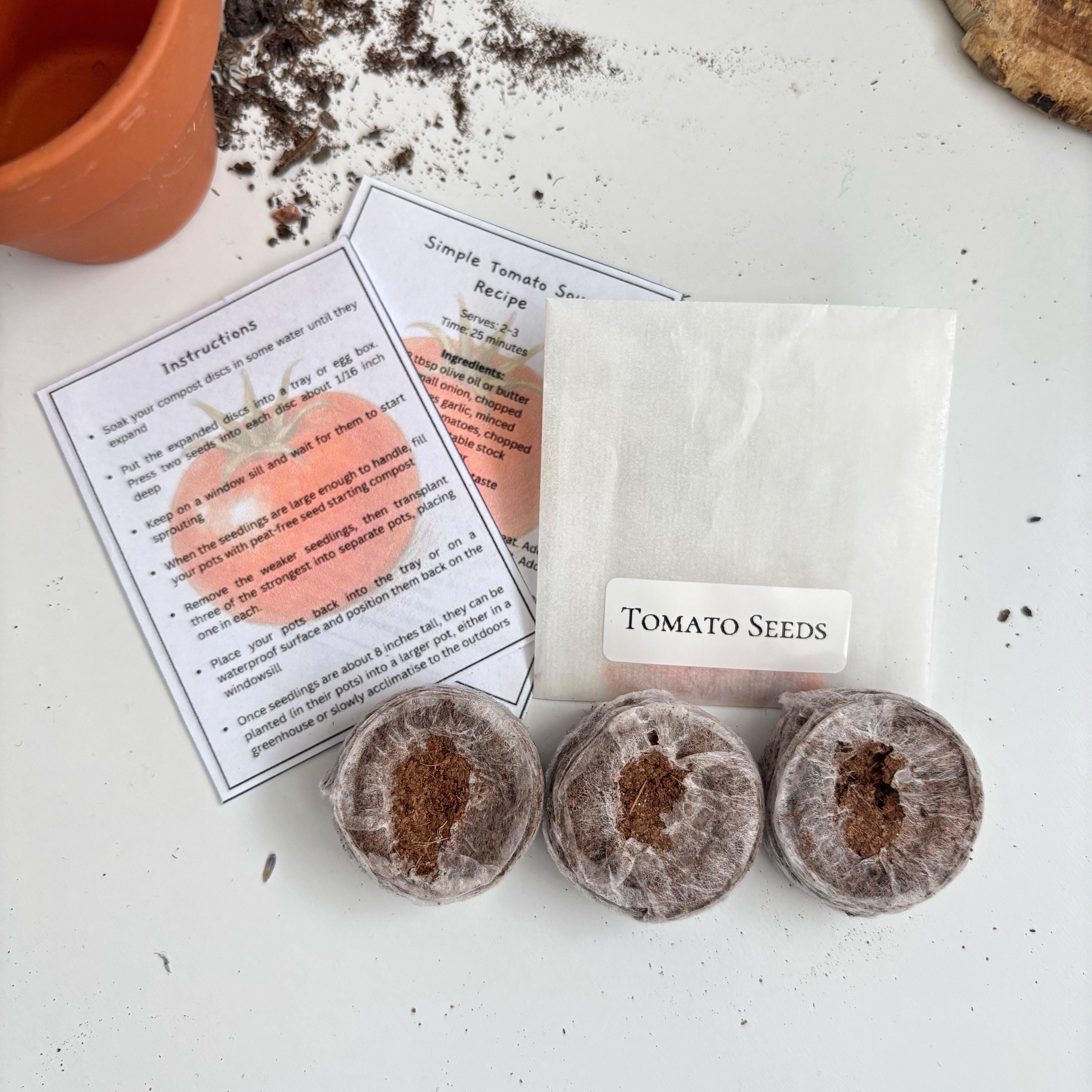 Mini Grow Your Own Tomato Kit
