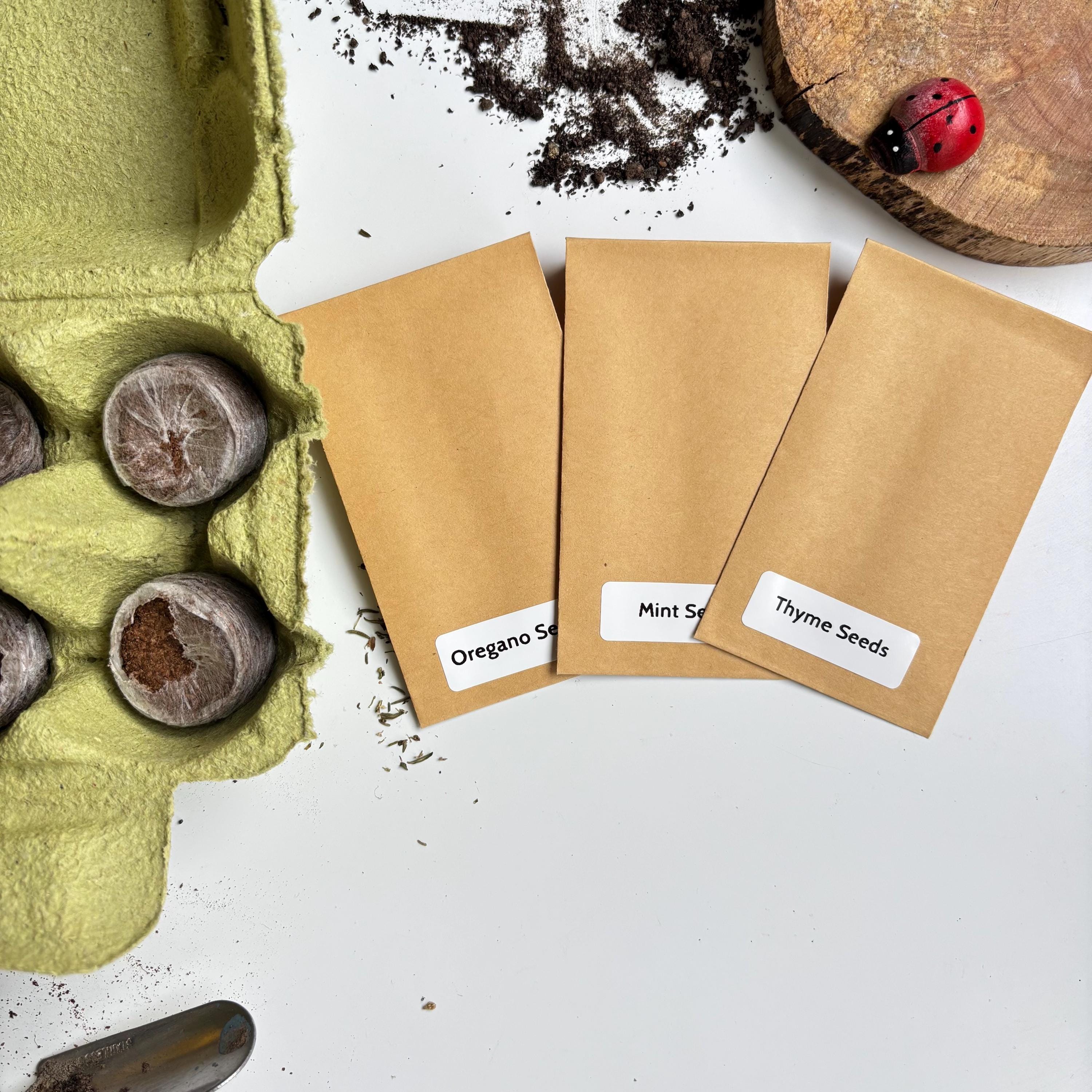 Start a Mini Herb Garden Kit