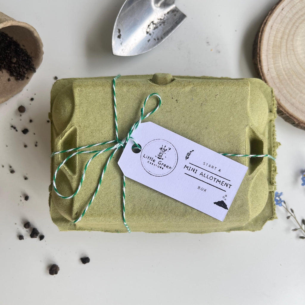Start a Mini Allotment Kit