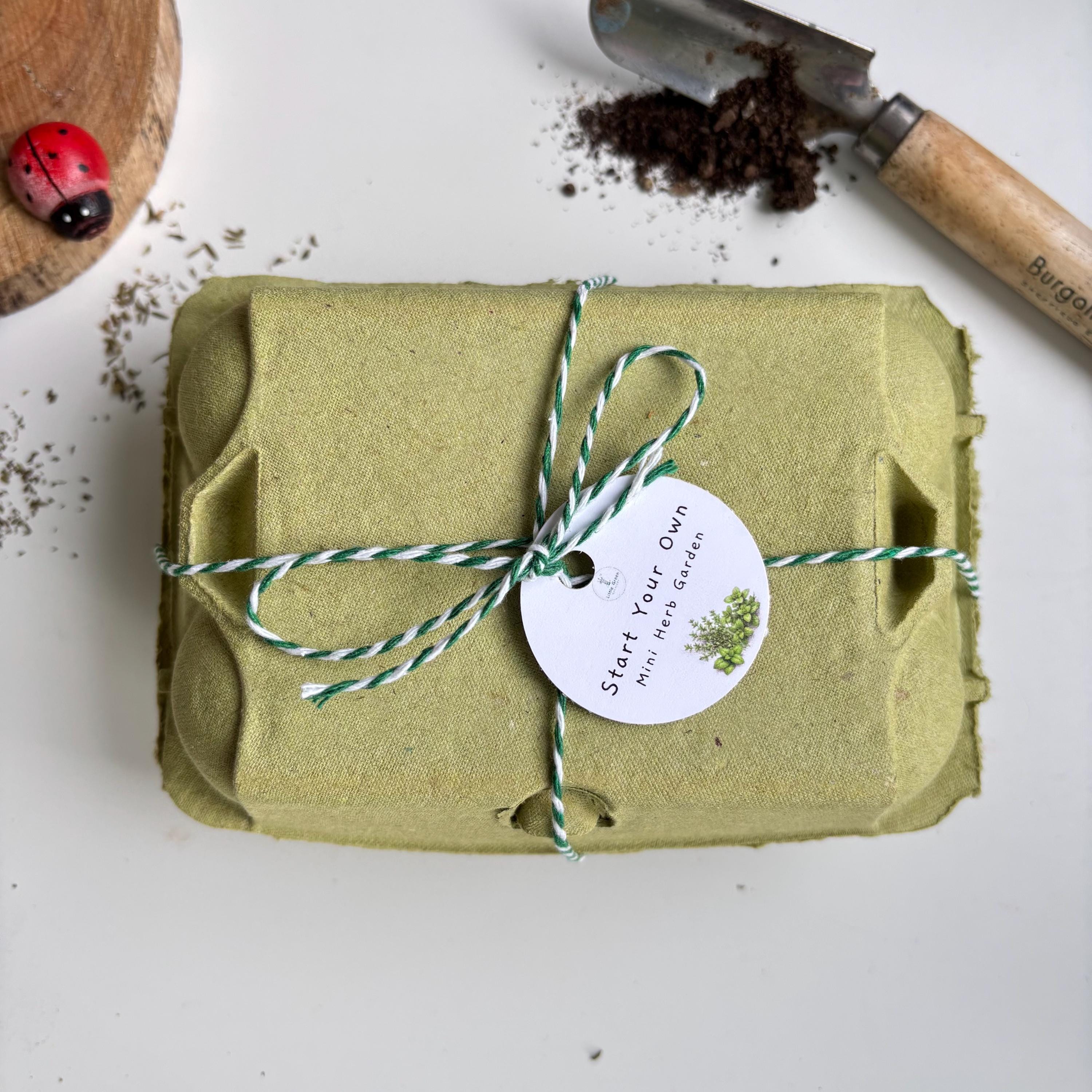 Start a Mini Herb Garden Kit