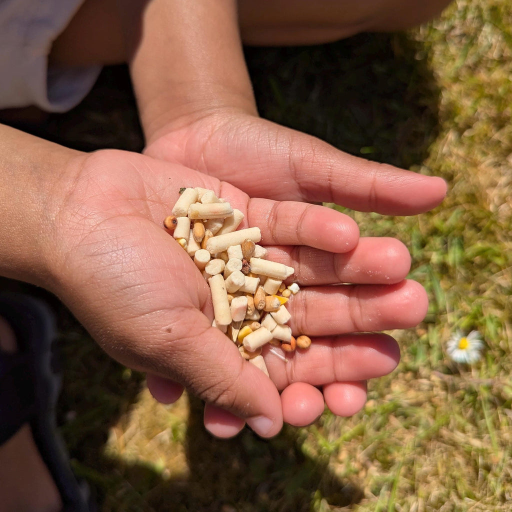 Hand holding small seeds and pellets for bird feed with a natural outdoor background