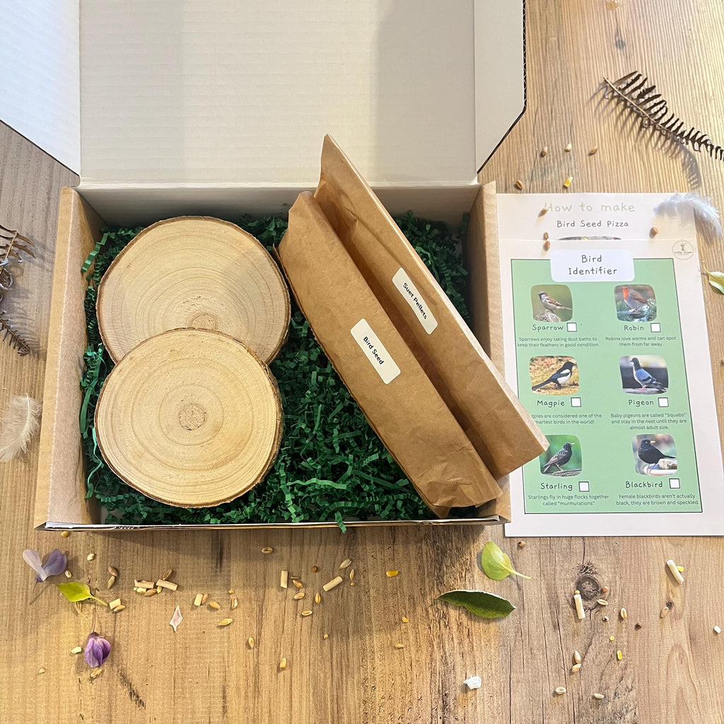 Box containing two wooden discs, two brown paper bags labelled suet pellets and bird seed with green shredded paper, and a bird identification guide on a wooden surface.