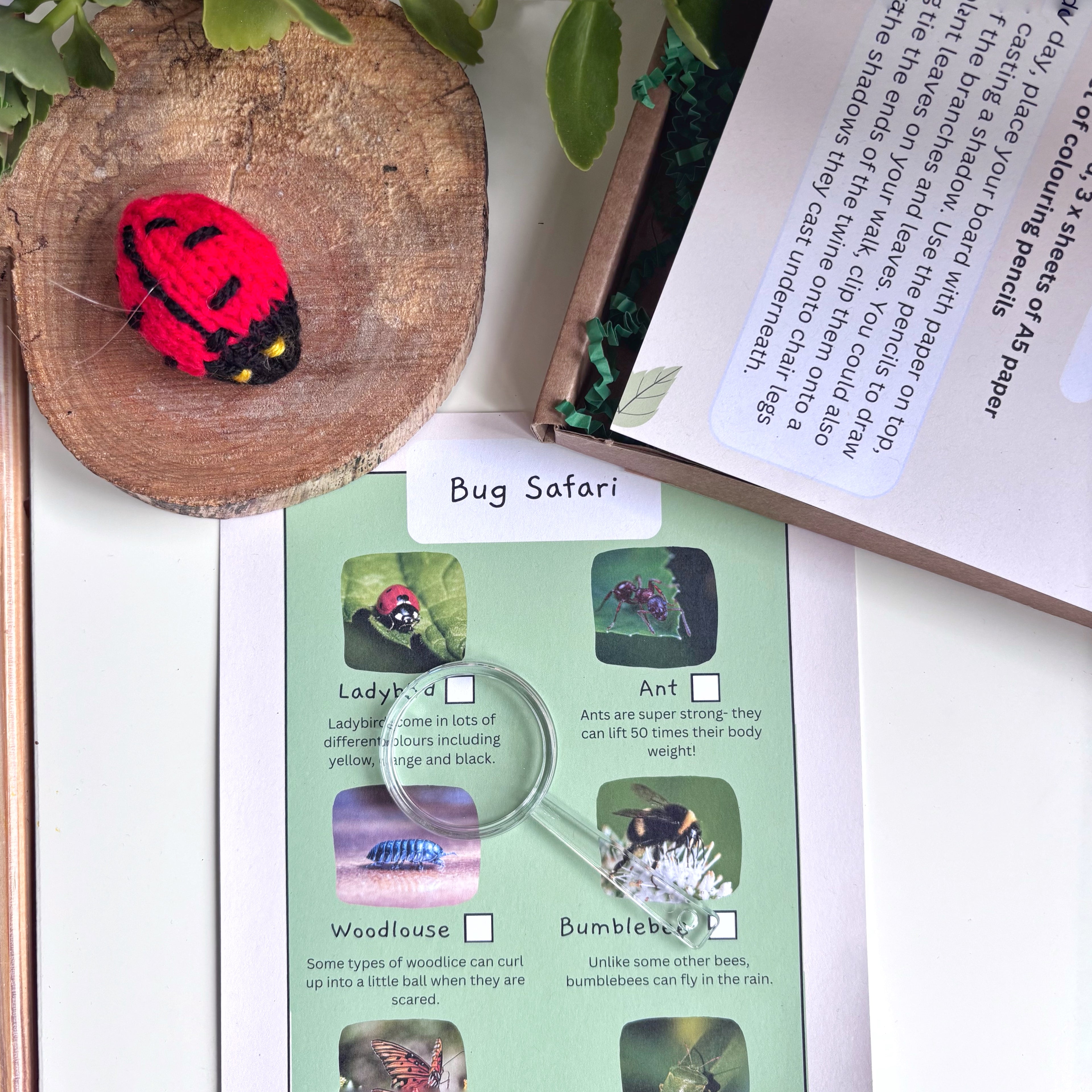 Outdoor Adventure Activity Kit