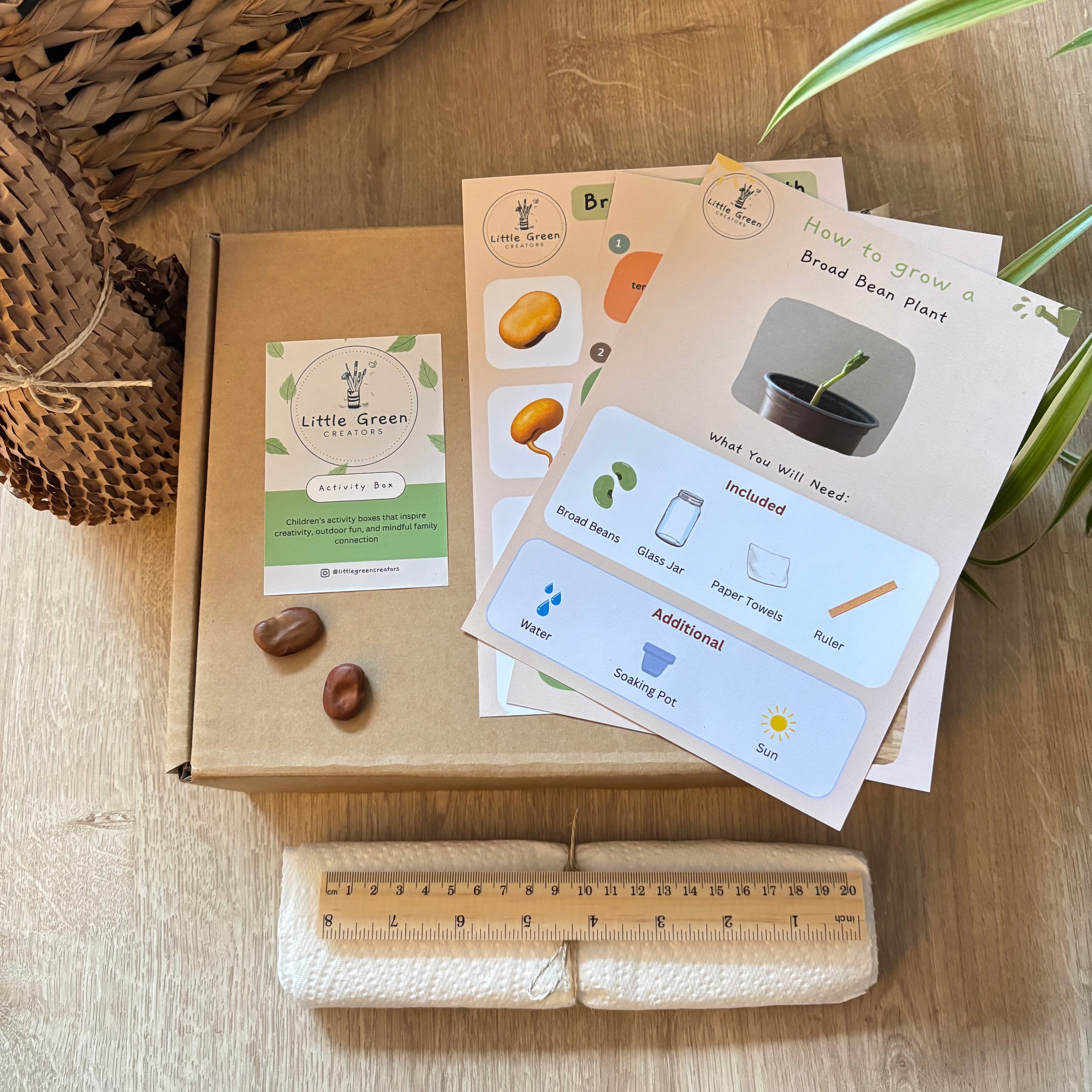 Grow Your Own Broad Bean Kit