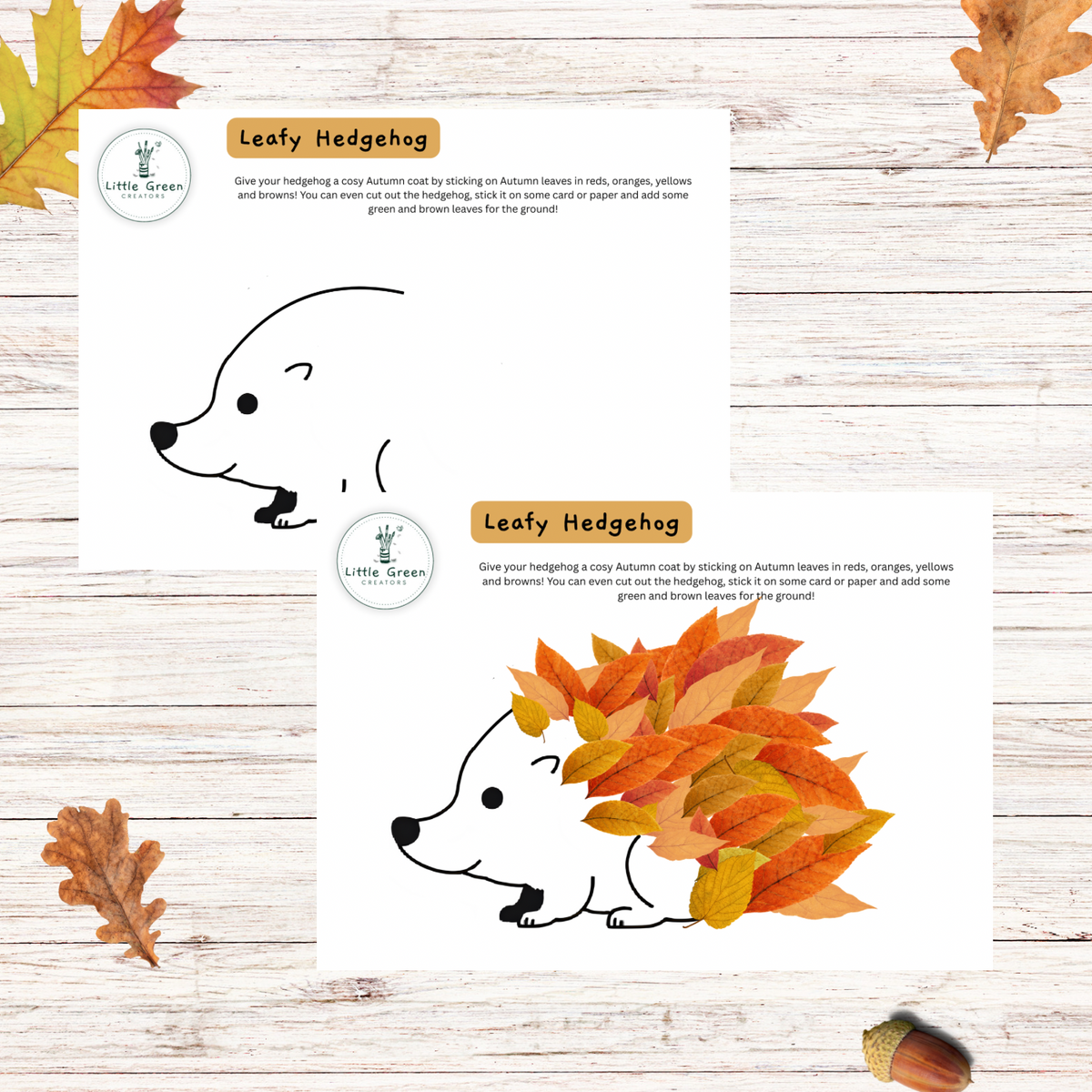Two printable activity sheets for children titled 'Leafy Hedgehog' on a whitewashed wood background, surrounded by scattered autumn leaves and an acorn. The sheets show a black outline drawing of a hedgehog being filled in with autumn colors and include short instructions and a small 'Little Green' logo.