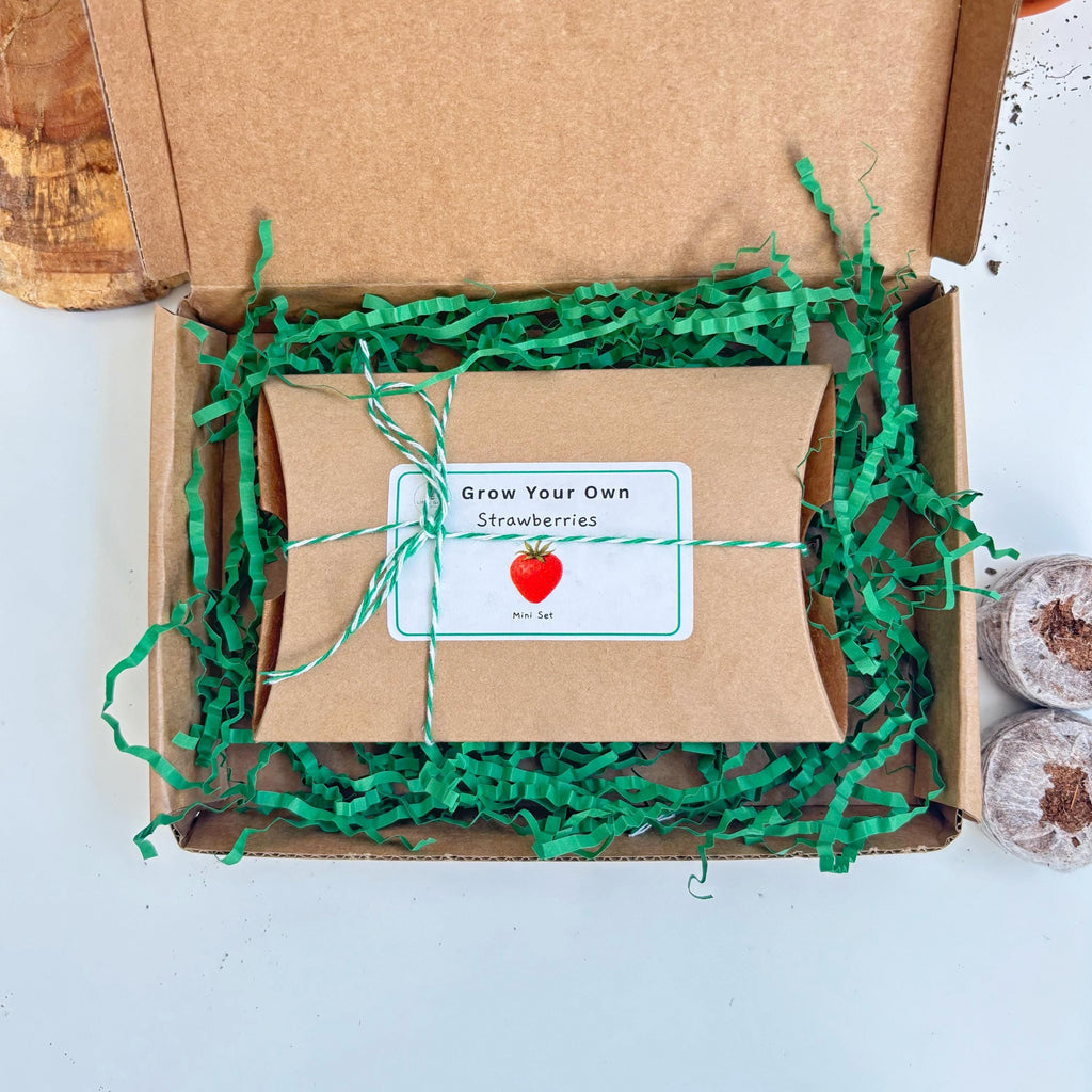 Kit packaged in a kraft cardboard box for growing strawberries. Everything inside a cardboard box with green shredded paper