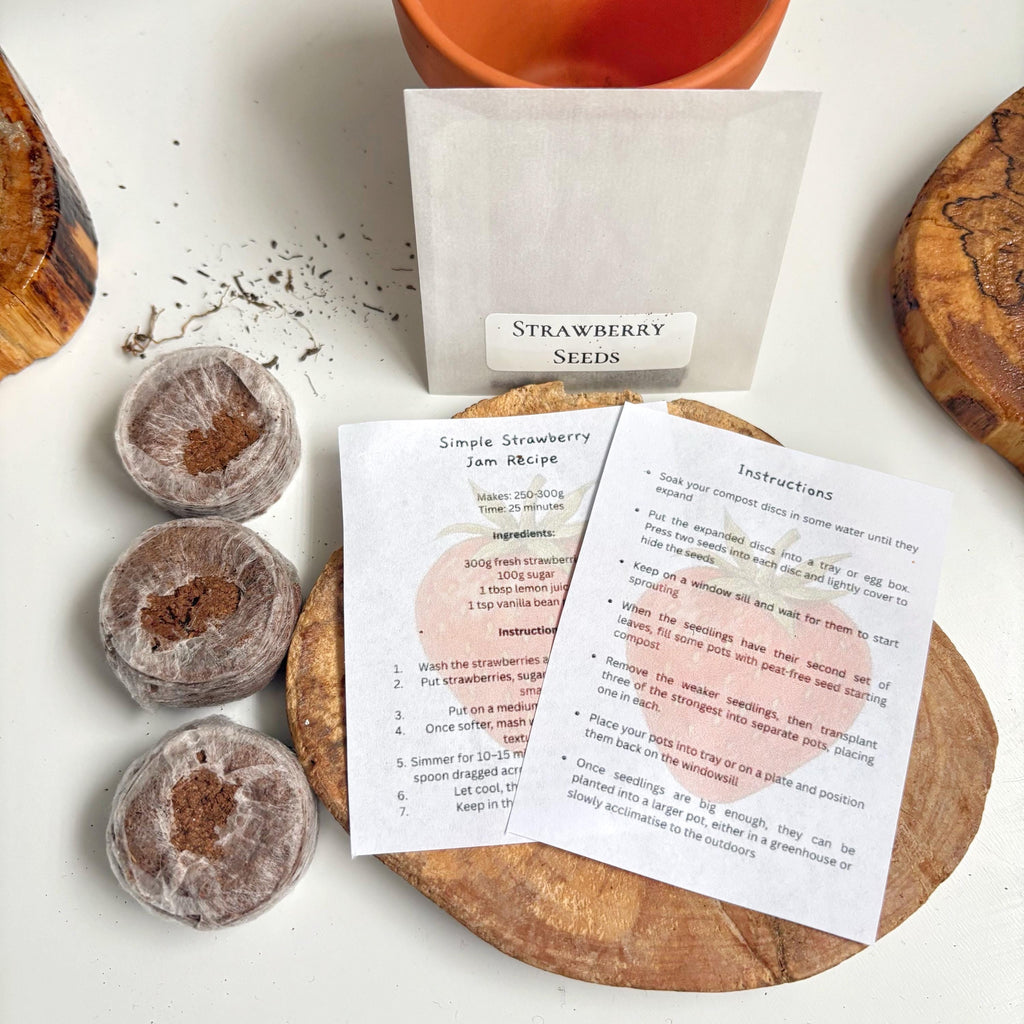 Strawberry seeds in a packet with a jam-making recipe on a wooden board plus three compost discs on the left side.