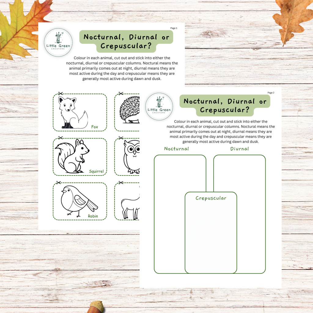Two illustrated printable cards for crepuscular, nocturnal or diurnal cut and stick craft: laid on a whitewashed wood surface with autumn leaves. The cards show birds such as a robin and animal like a squirrel.