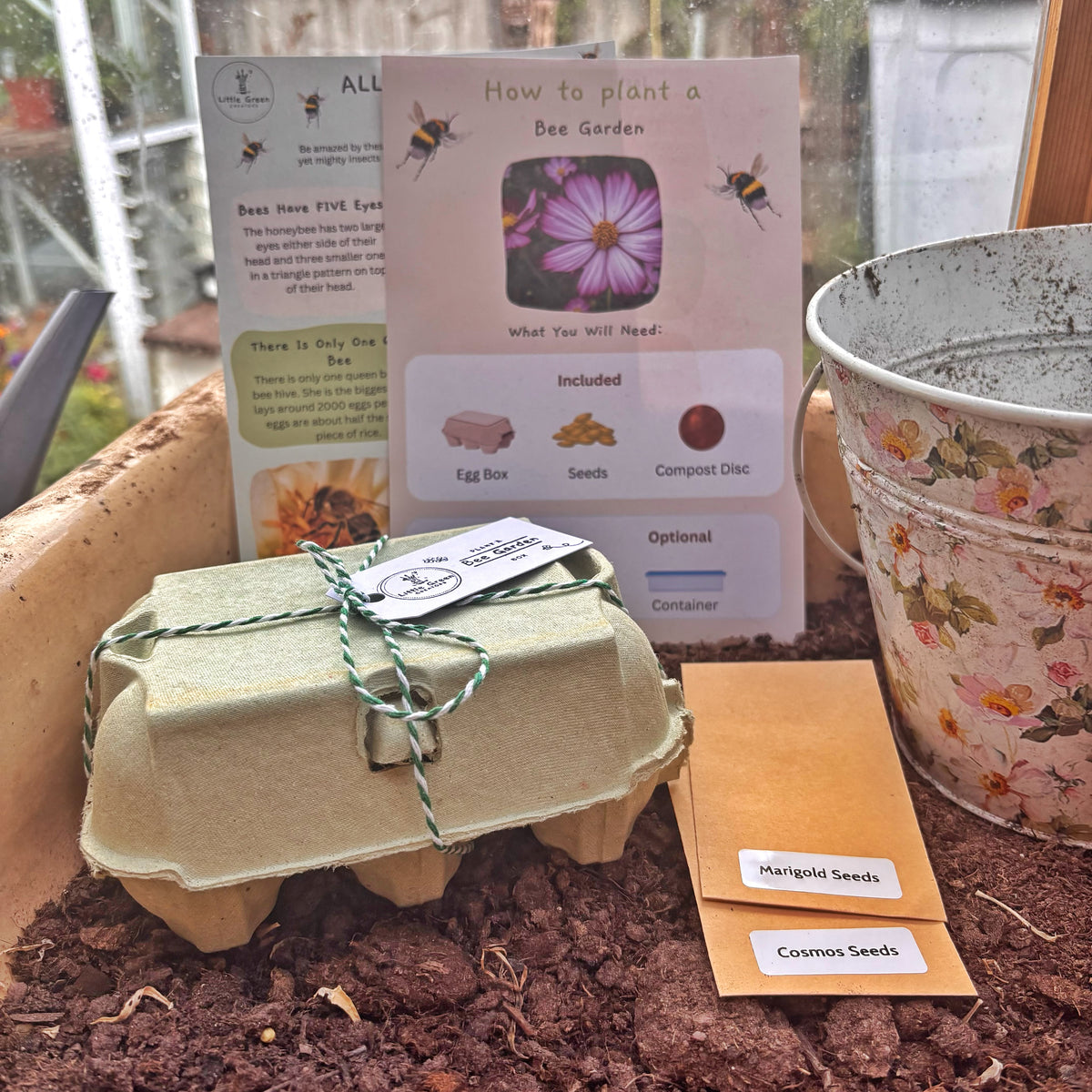 Bee garden starter kit arranged in soil, including a paper egg box tied with string, a printed how-to card, seeds in labeled paper packets, and a floral metal bucket.