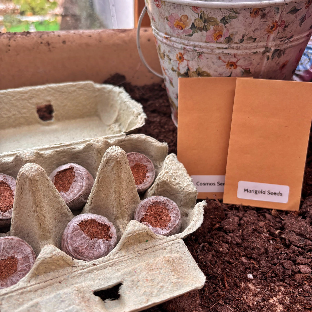 A close-up of a seed-starting setup with a cardboard egg carton holding small wrapped seed plugs, two paper seed packets labeled 'Cosmos Seeds' and 'Marigold Seeds', and dark soil. A floral metal bucket is partially visible in the background near a window.