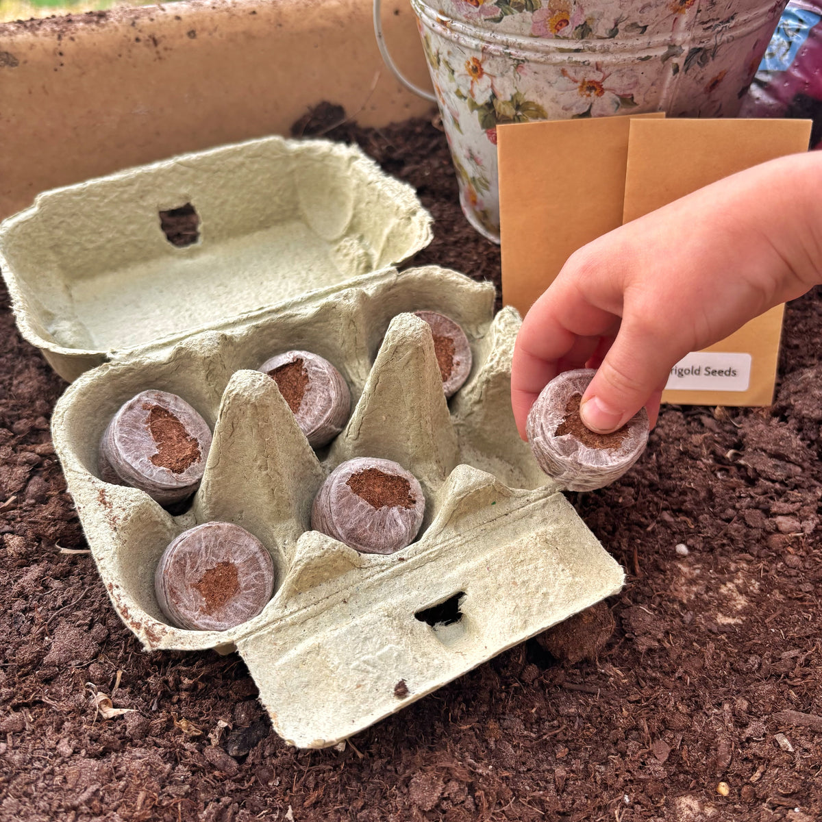 A hand planting seed-starting paper cups inside an egg carton in soil, with a small seed packet labeled 'Marigold Seeds' and gardening props nearby.