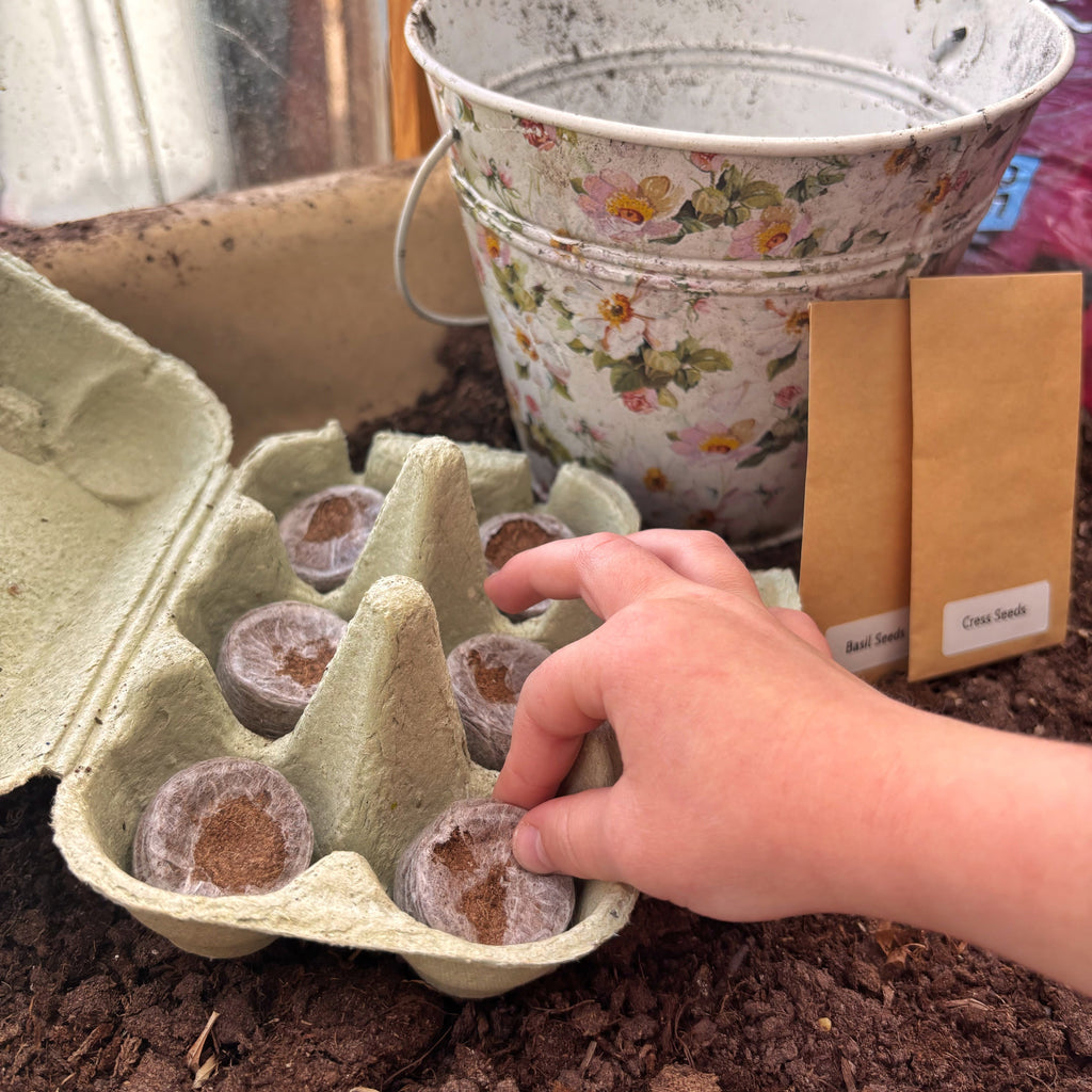 A hand placing seed-starting compost discs into a paper egg-box on soil, with a floral metal bucket and seed packets in the background.