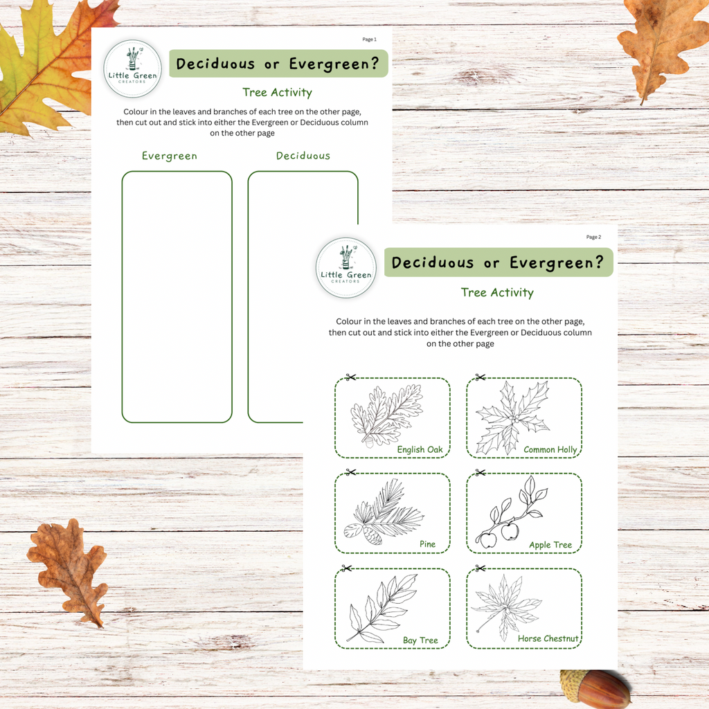 Printable Tree Activity with different types of leaves on put on a white washed wooden background. 
