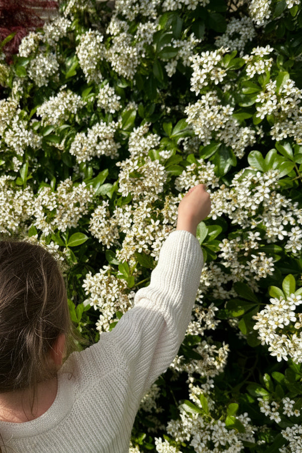 child's hand putting a butterfly on some white flowers on a sunny day.