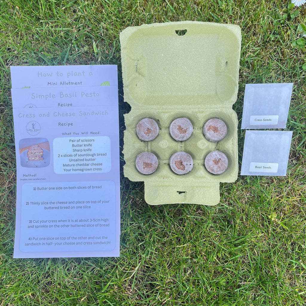 Start a Mini Allotment Kit