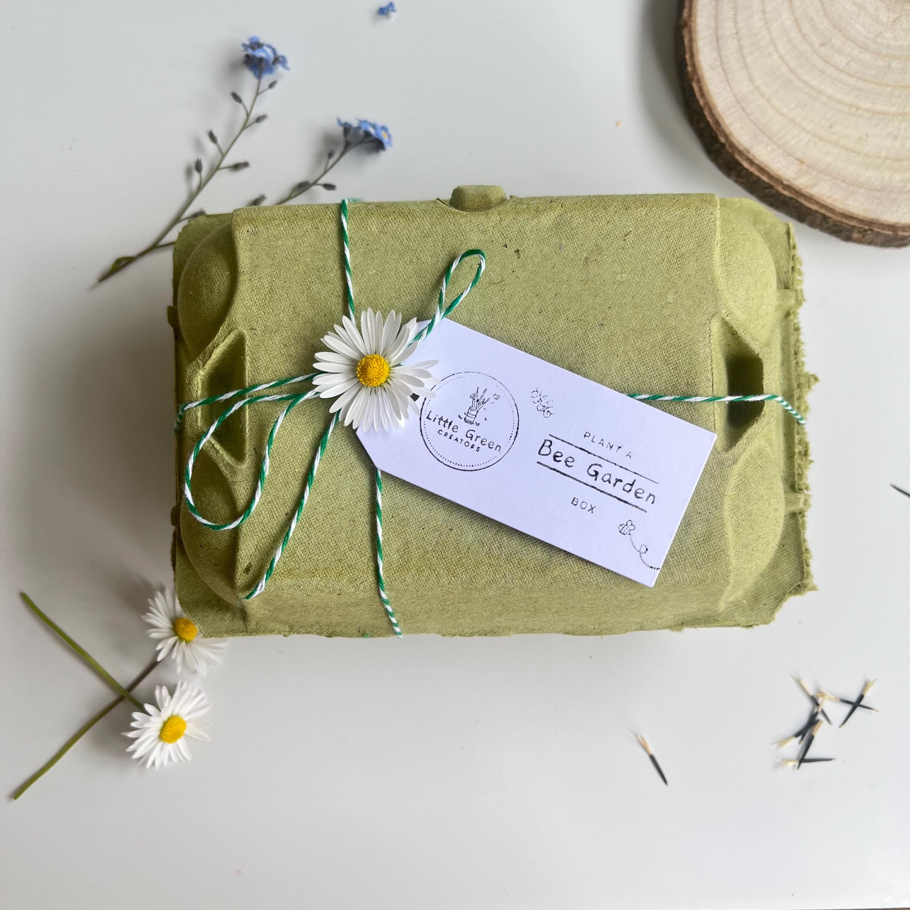 Plant a Bee Garden Kit