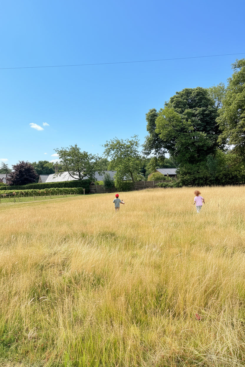 field of long brown grass with three children running with trees in the background